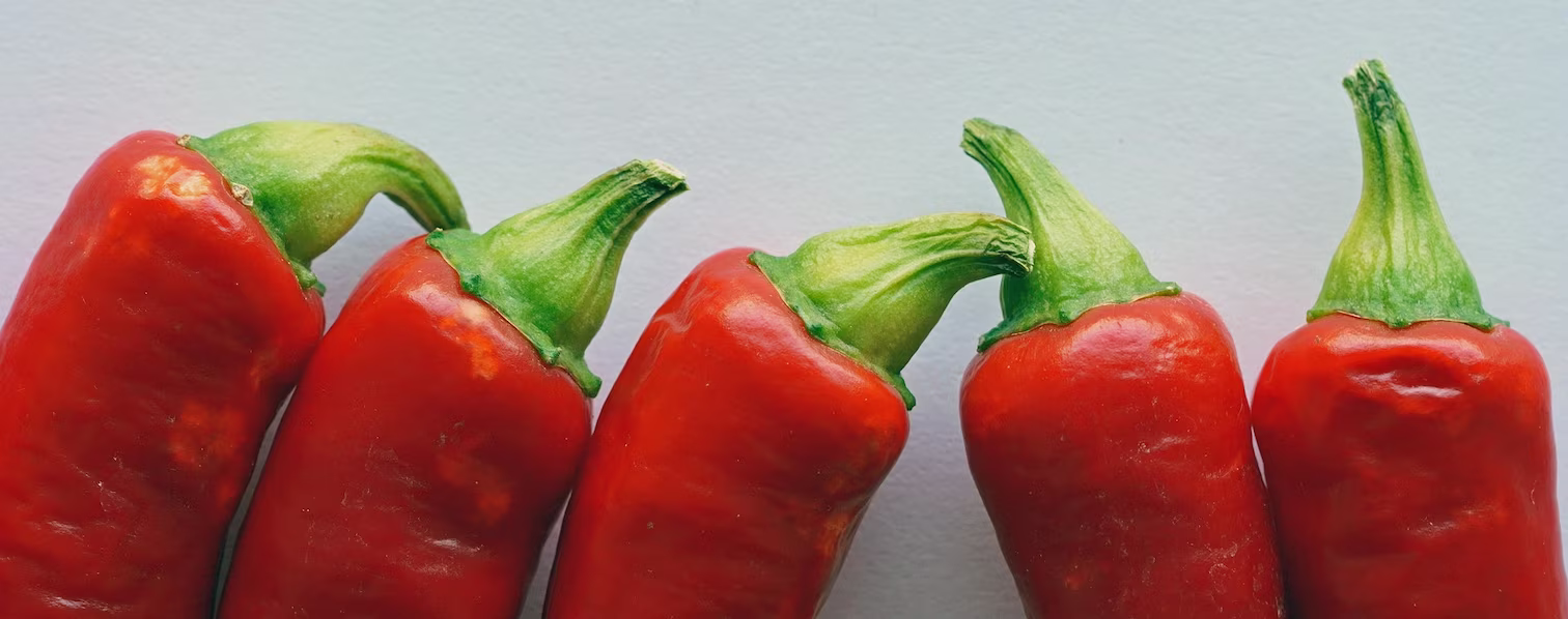 Fresh red chili peppers arranged horizontally across a white background, creating a bold and spicy cooking themed banner